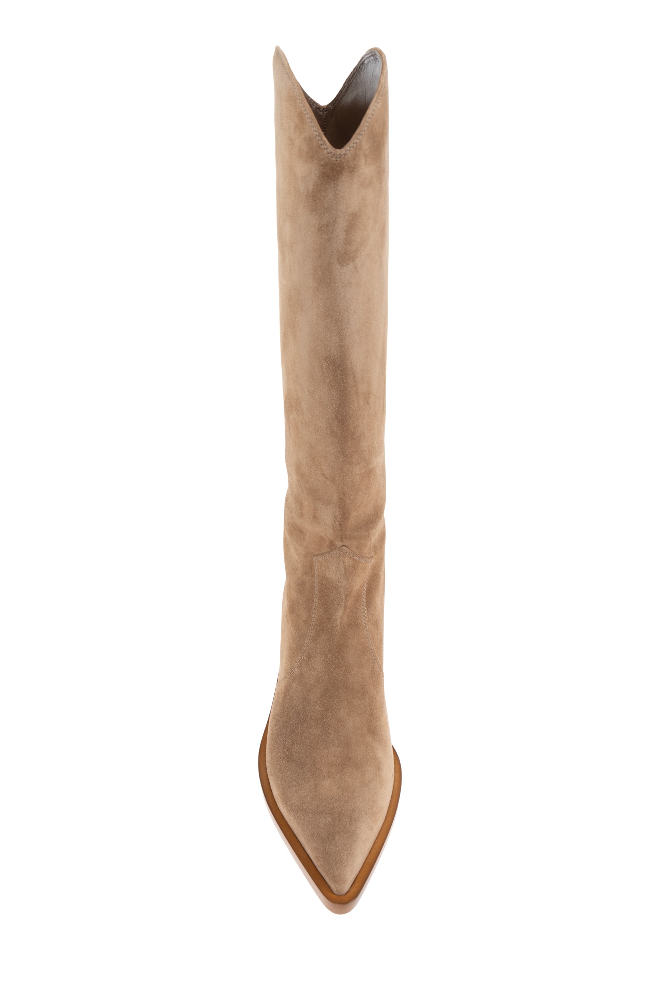 Gianvito Rossi Waylon Pointed Toe Boots