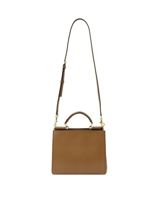 Dolce & Gabbana Logo Details Handbag In Brown
