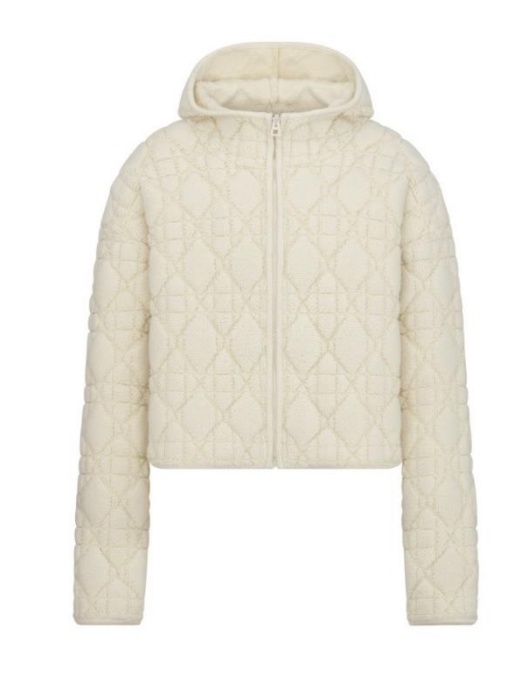 Dior Vine Checked Zipper Cardigan With Hood In Nude