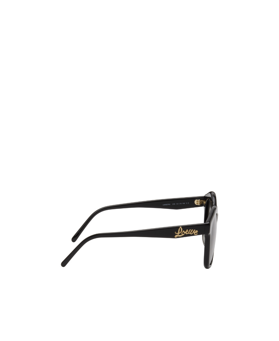 Loewe Browline Sunglasses In Black