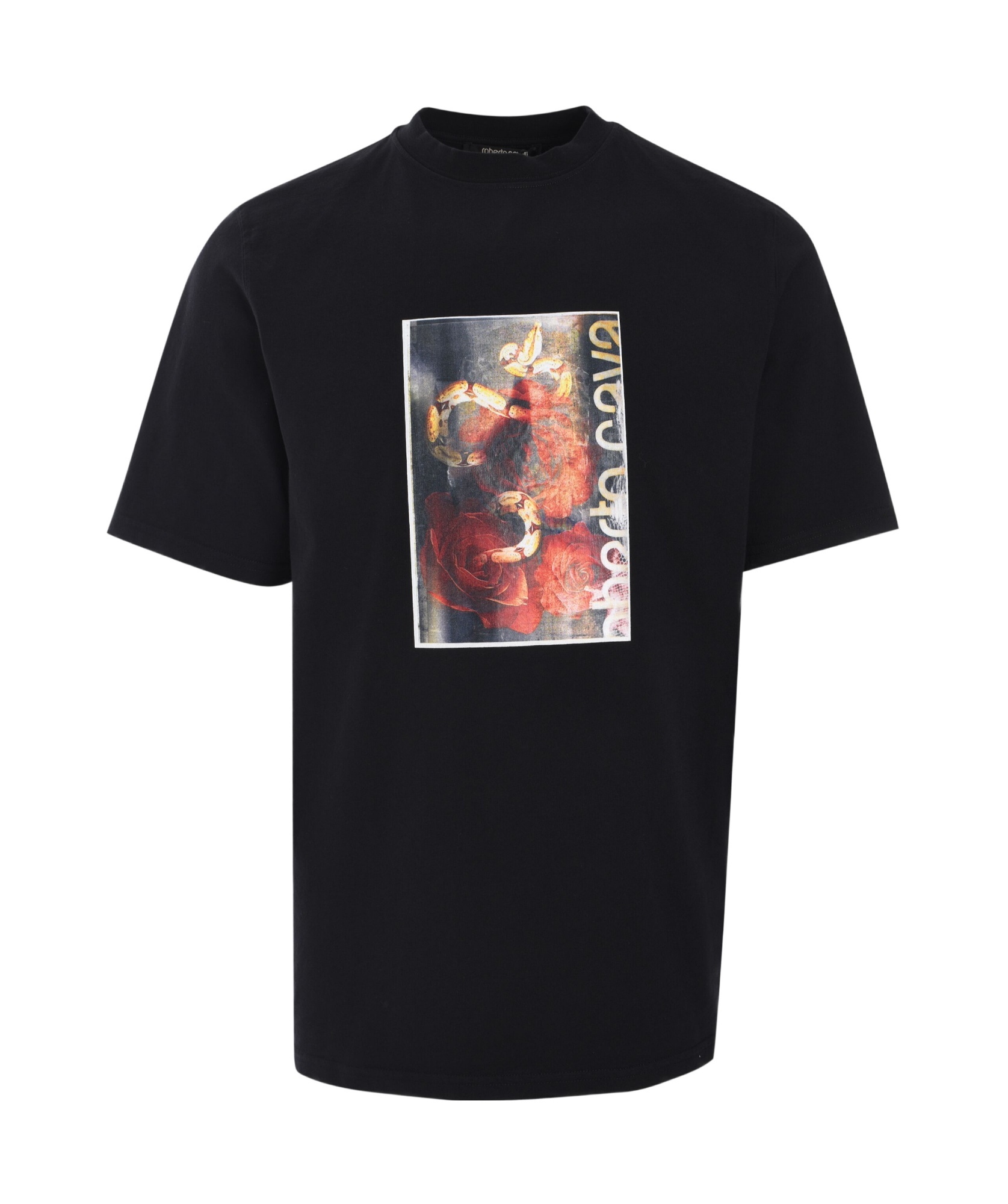 Roberto Cavalli Flyer Rises And Snake T-shirt In Black