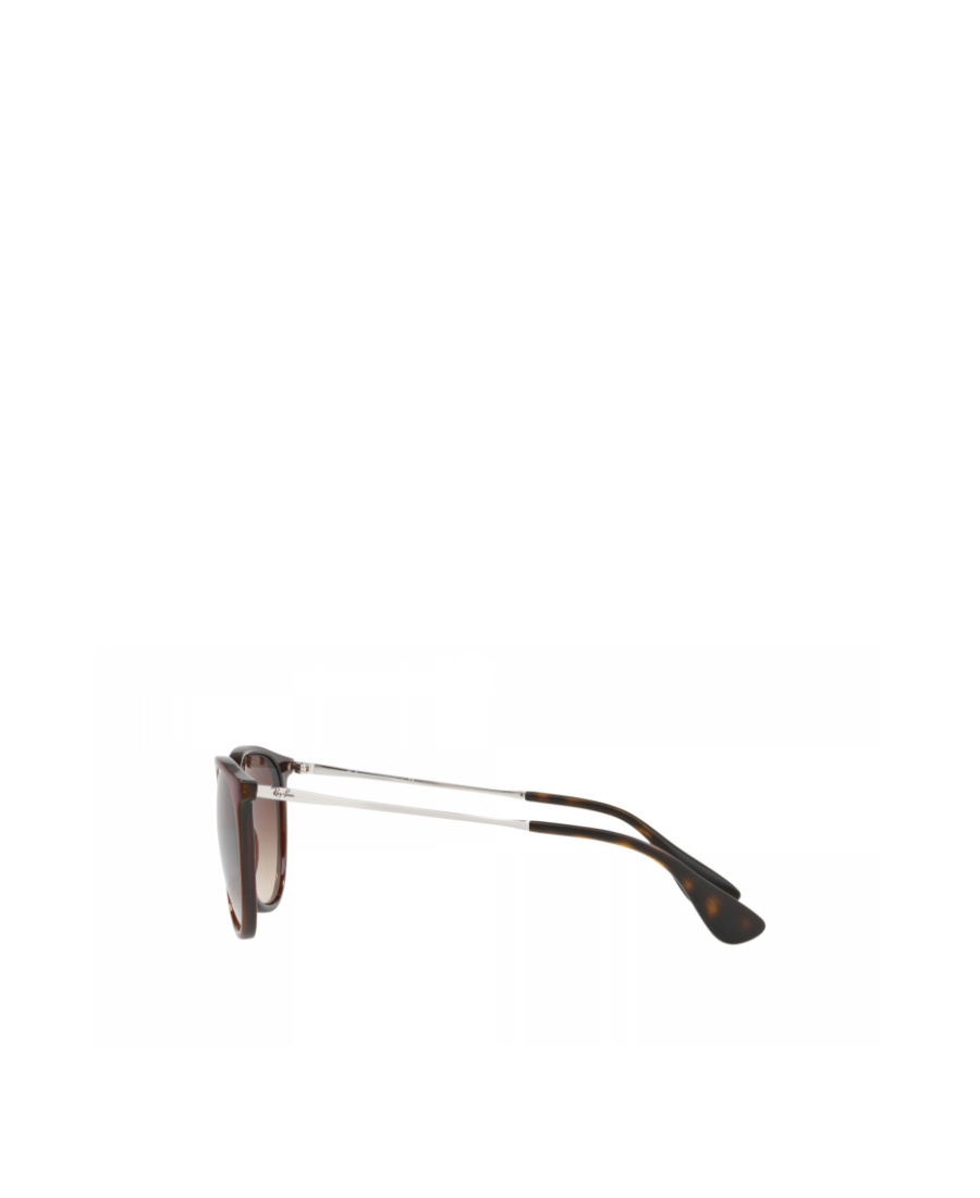 Ray Ban Ray-ban Erika Classic Sunglasses In Brown