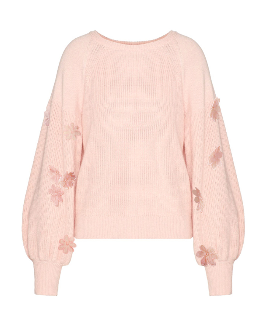 Red Valentino Augen Yarn Floral Embroidered Pullover In Nude