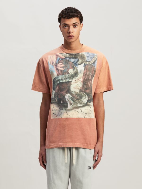 Palm Angels Graphic Printed Crewneck T-shirt In Pink