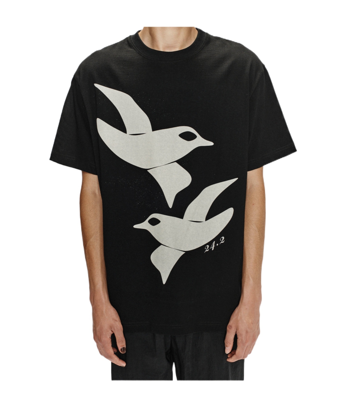 SONG FOR THE MUTE BIRDS T-SHIRT 