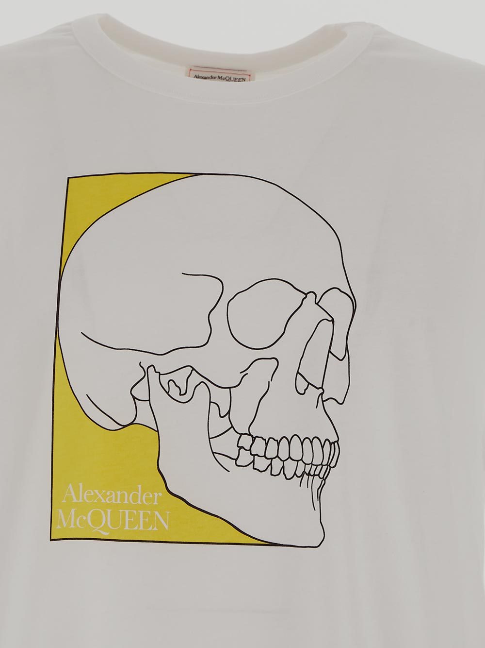 Alexander Mcqueen Men's Skull Print T Shirt In Gray