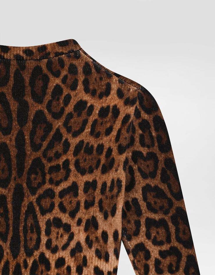 Dolce & Gabbana Leopard-print Crew-neck Pullover In Animal Print