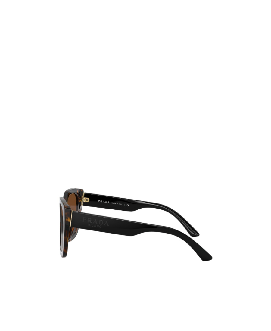 Prada Pr 19zs 2au6s1 55mm Womens Butterfly Sunglasses In Brown