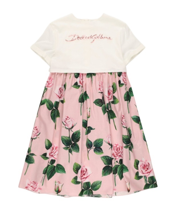 Dolce & Gabbana Printed Dress In Pink