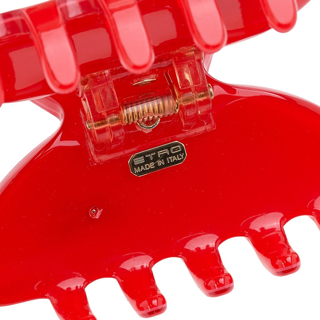 Etro Logo Hair Accessories In Red
