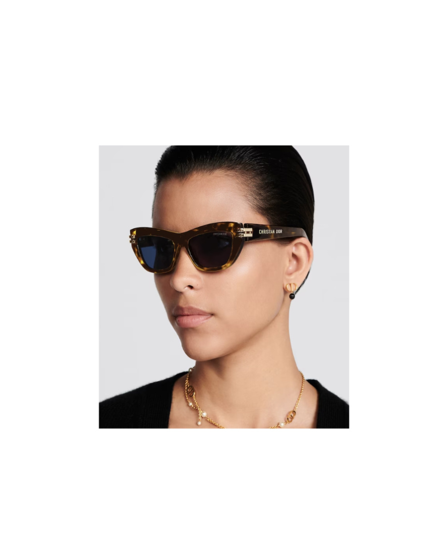 Dior Logo Butterfly Sunglasses In Brown