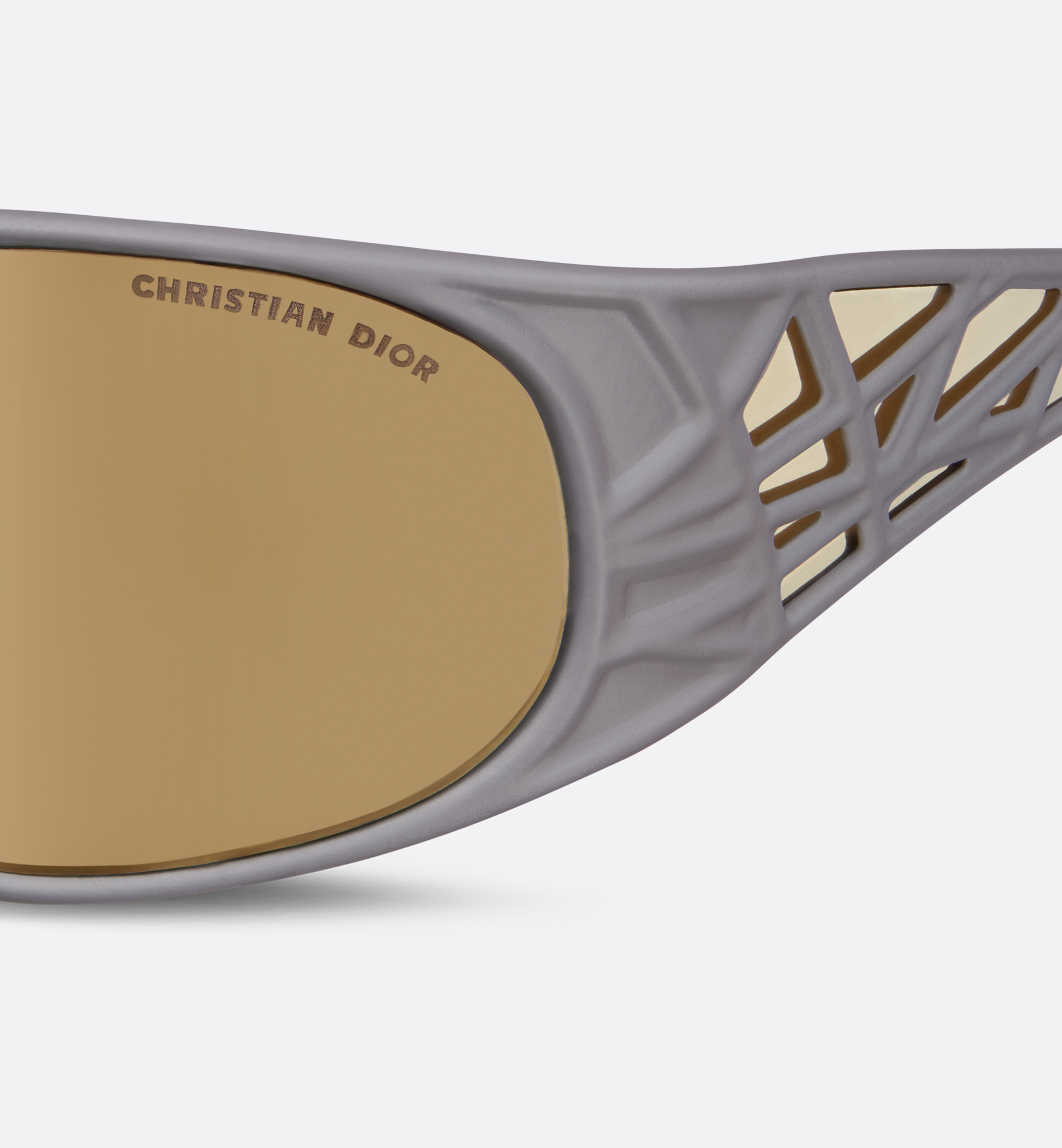 Dior Logo Sunglasses In Nude