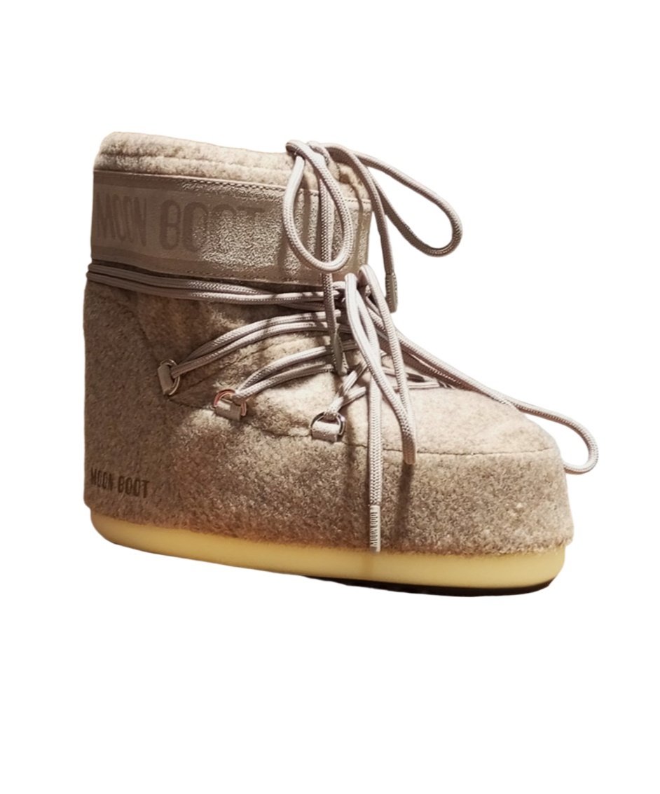 Moon Boot Icon Low Boots In Brown