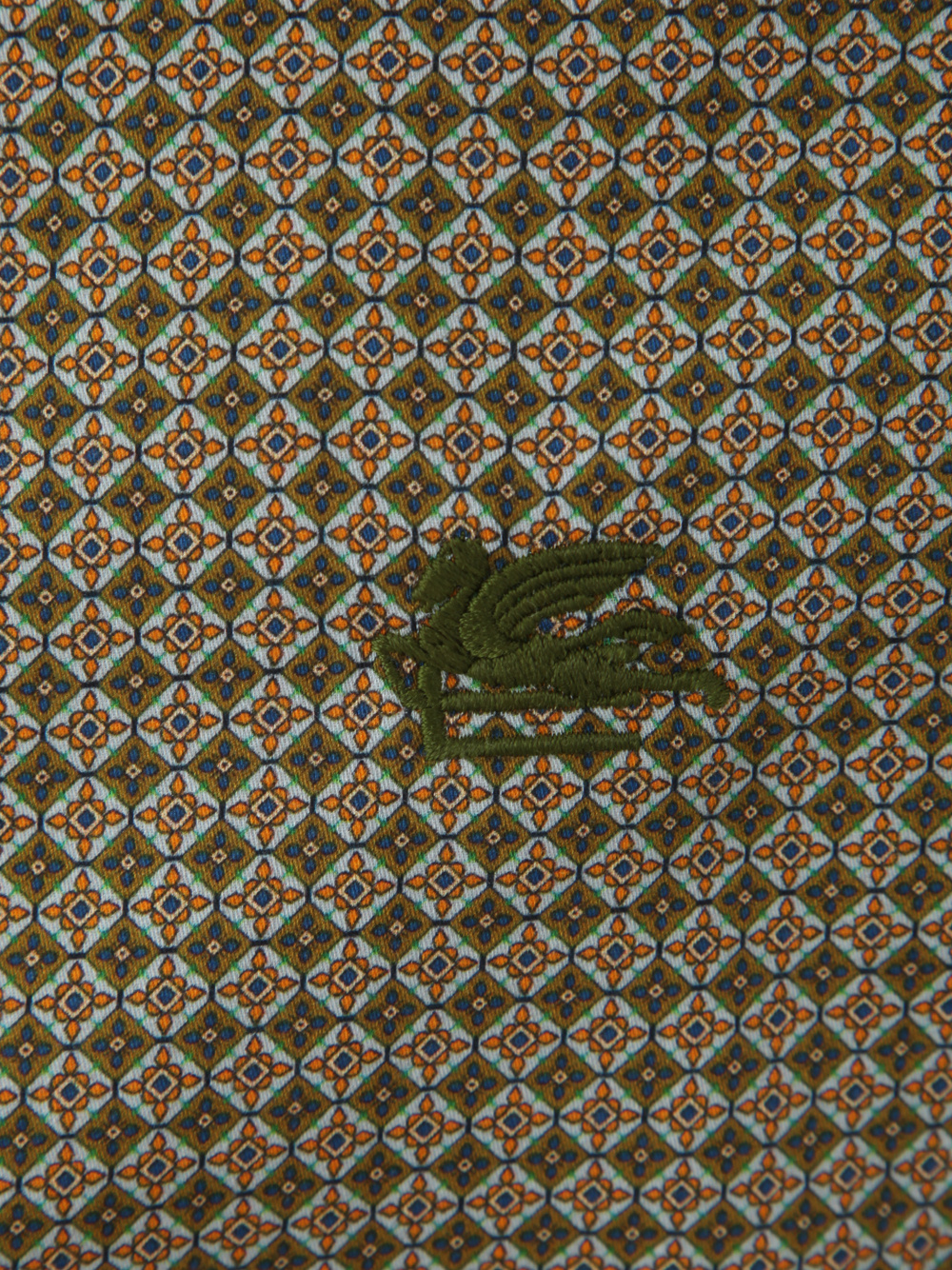 Etro Geometric-pattern Long-sleeve Shirt In Green