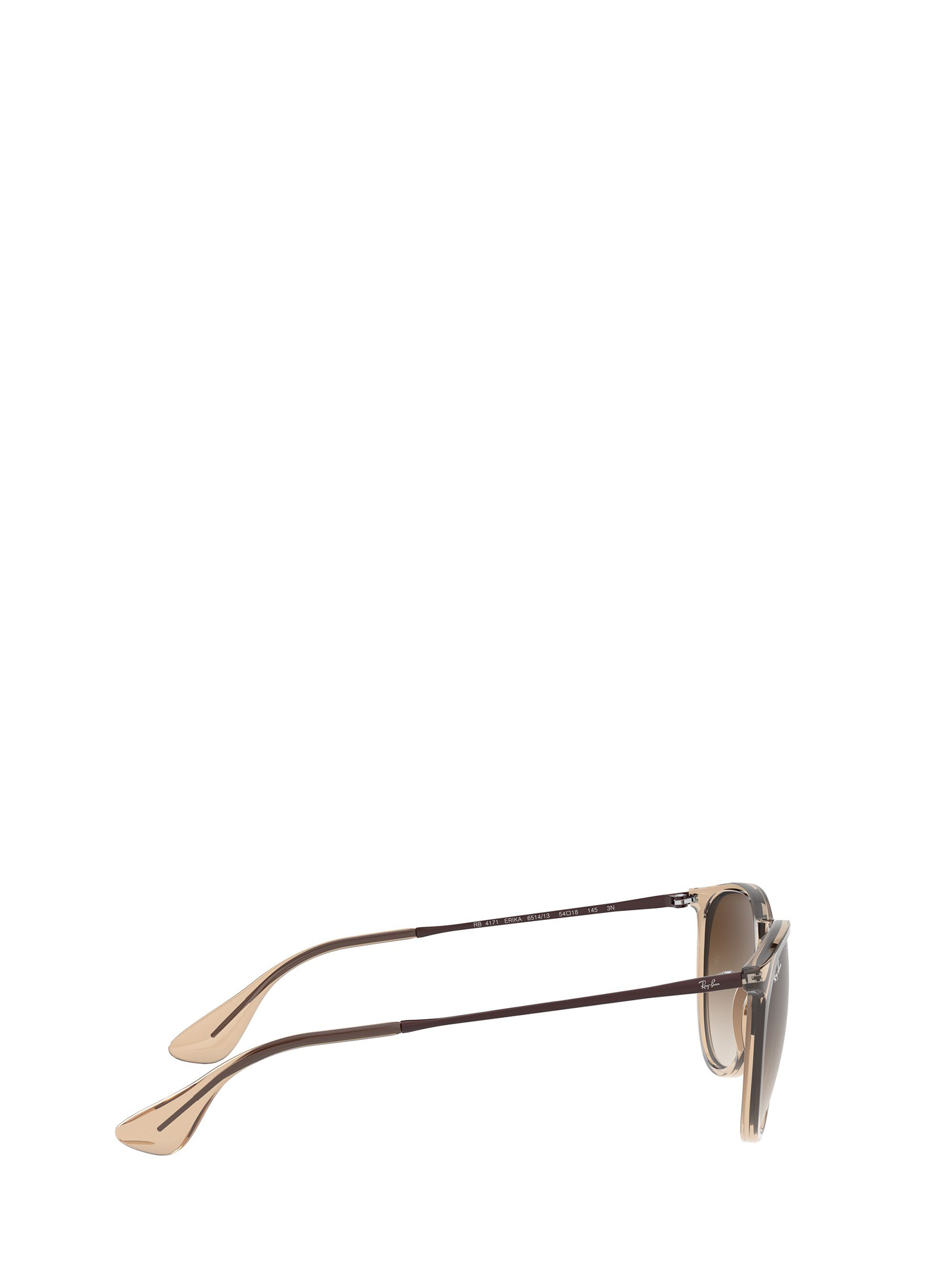 Ray Ban Ray In Brown