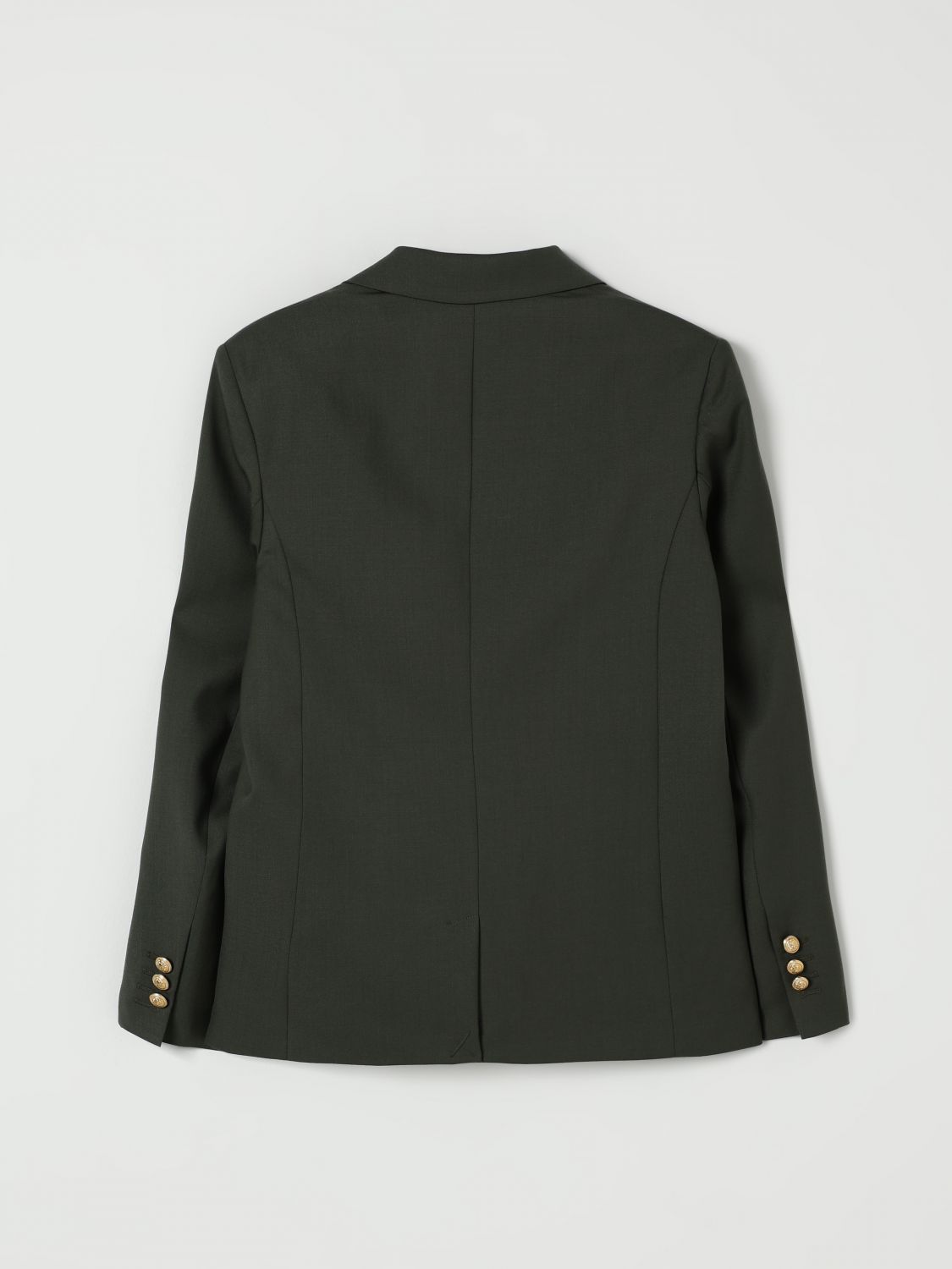 Balmain Long Sleeve Jacket In Green