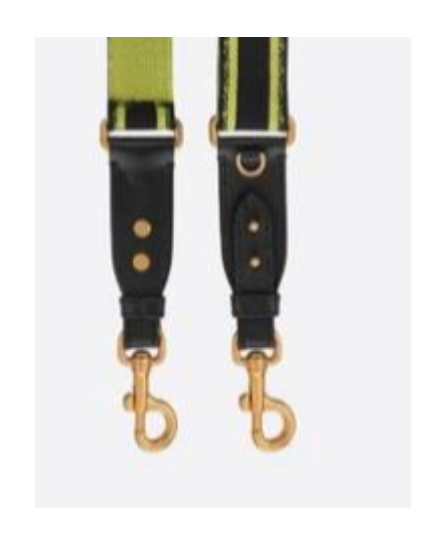 Dior Adjustable Shoulder Strap With Loop In Green