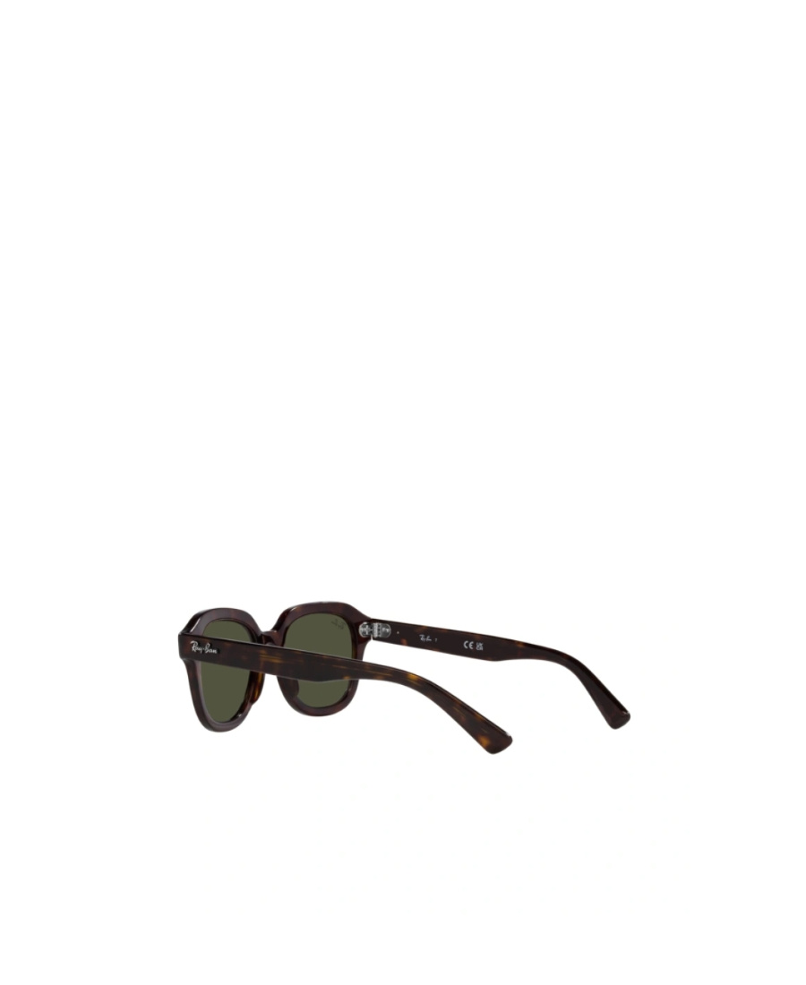 Ray Ban Erik 51mm Square Sunglasses In Green