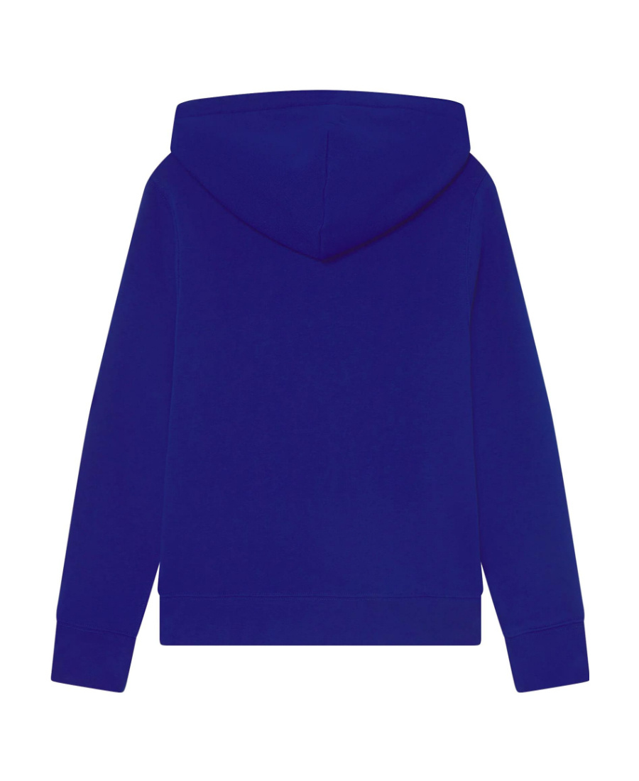 Polo Ralph Lauren Sweatshirt With Hood And Logo In Blue