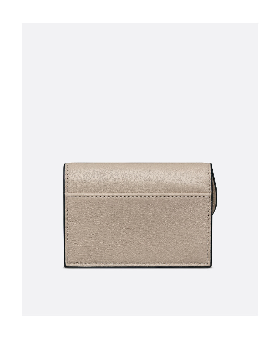 Dior Saddle Flip Clamp In Nude