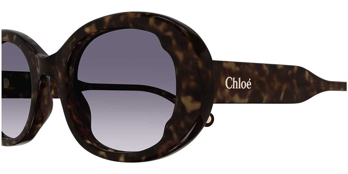 Chloé Havana Oval-frame Sunglasses In Black