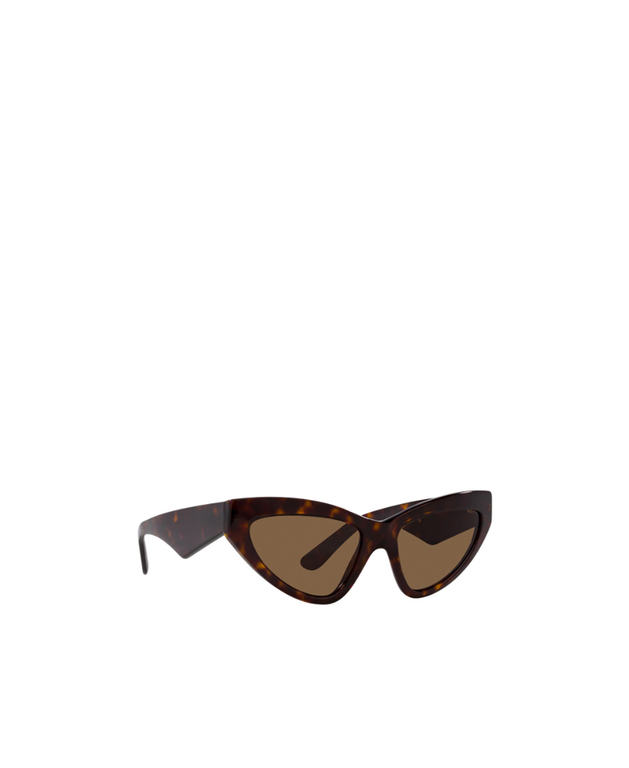 Dolce & Gabbana Cat-eye Frame Sunglasses In Brown
