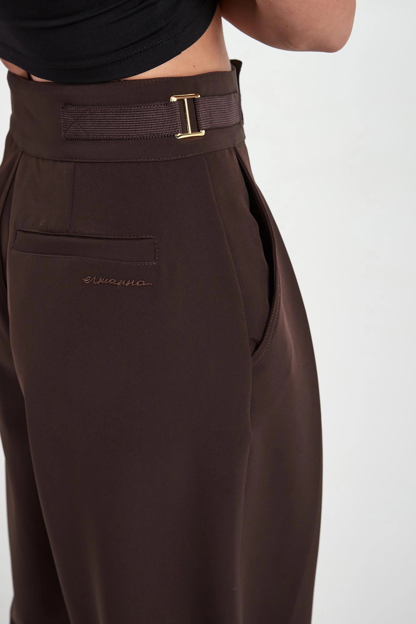 Ermanno Firenze Pleat-detail Trousers In Brown