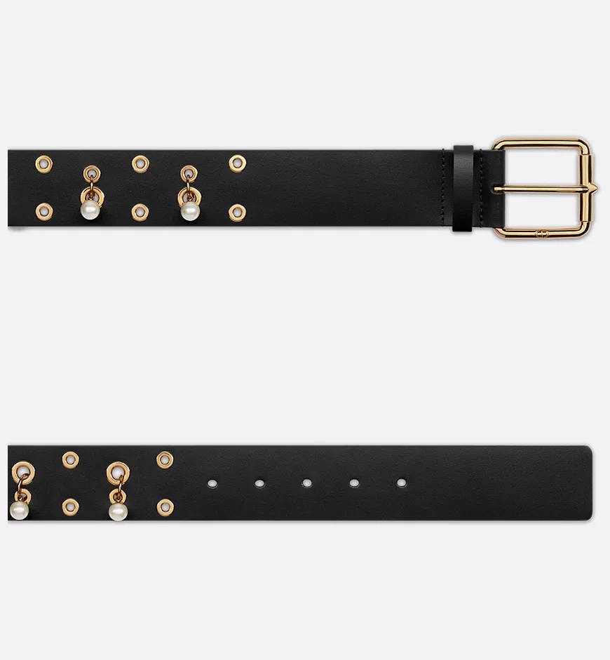Dior Evolt Belt In Black