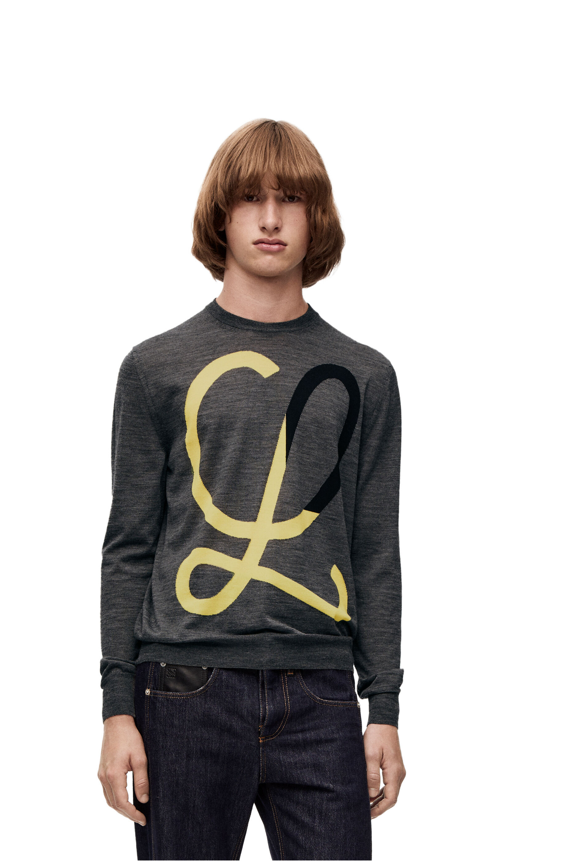 Loewe Inlaid Knitted Sweater In Gray