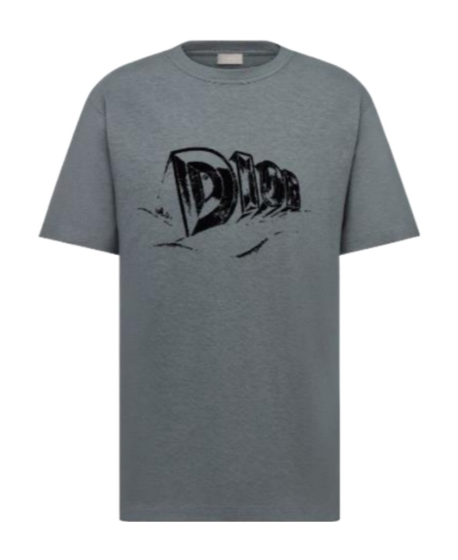 Dior Logo T-shirt In Gray