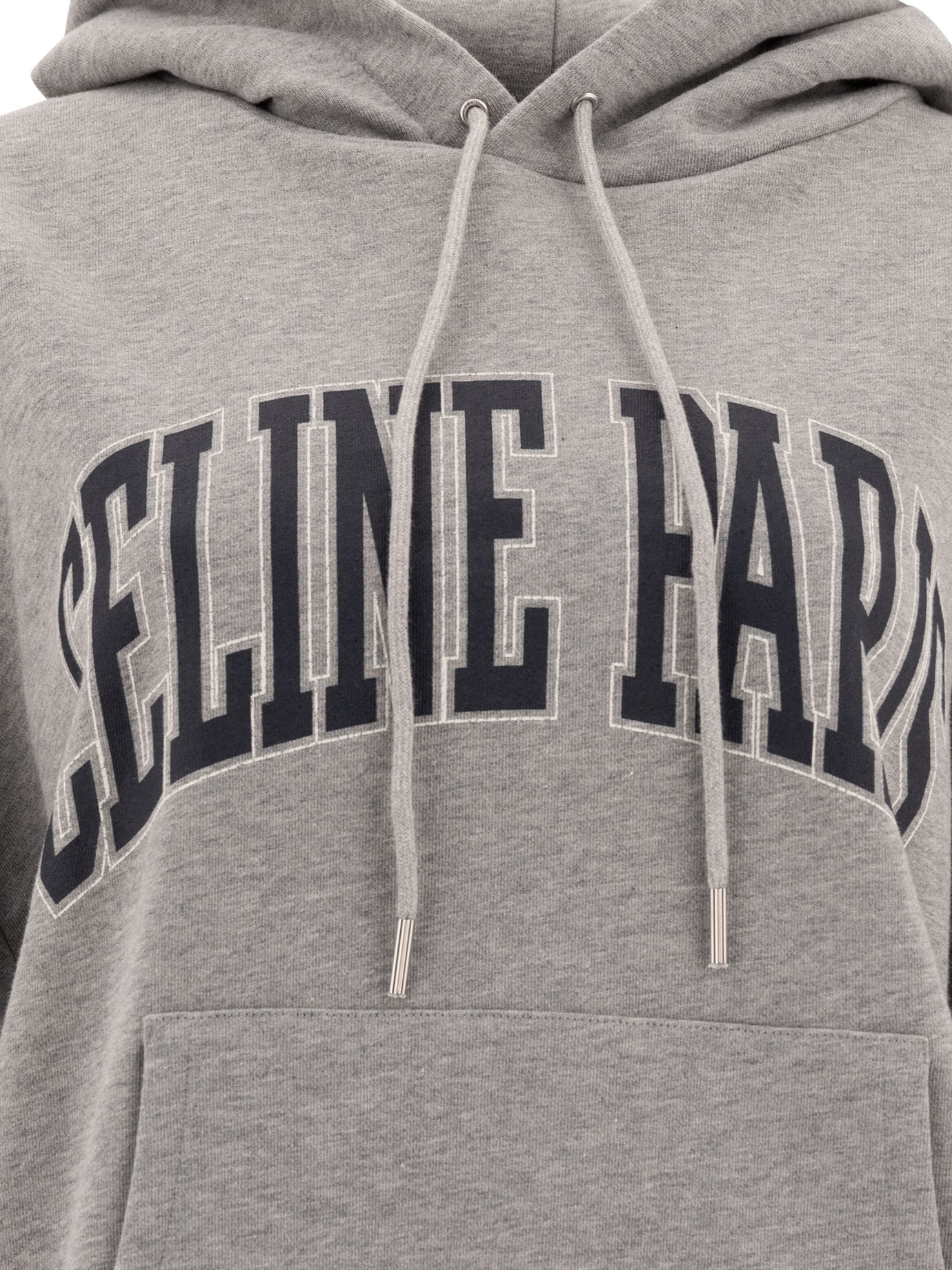 Celine Hooded Sweater In Gray