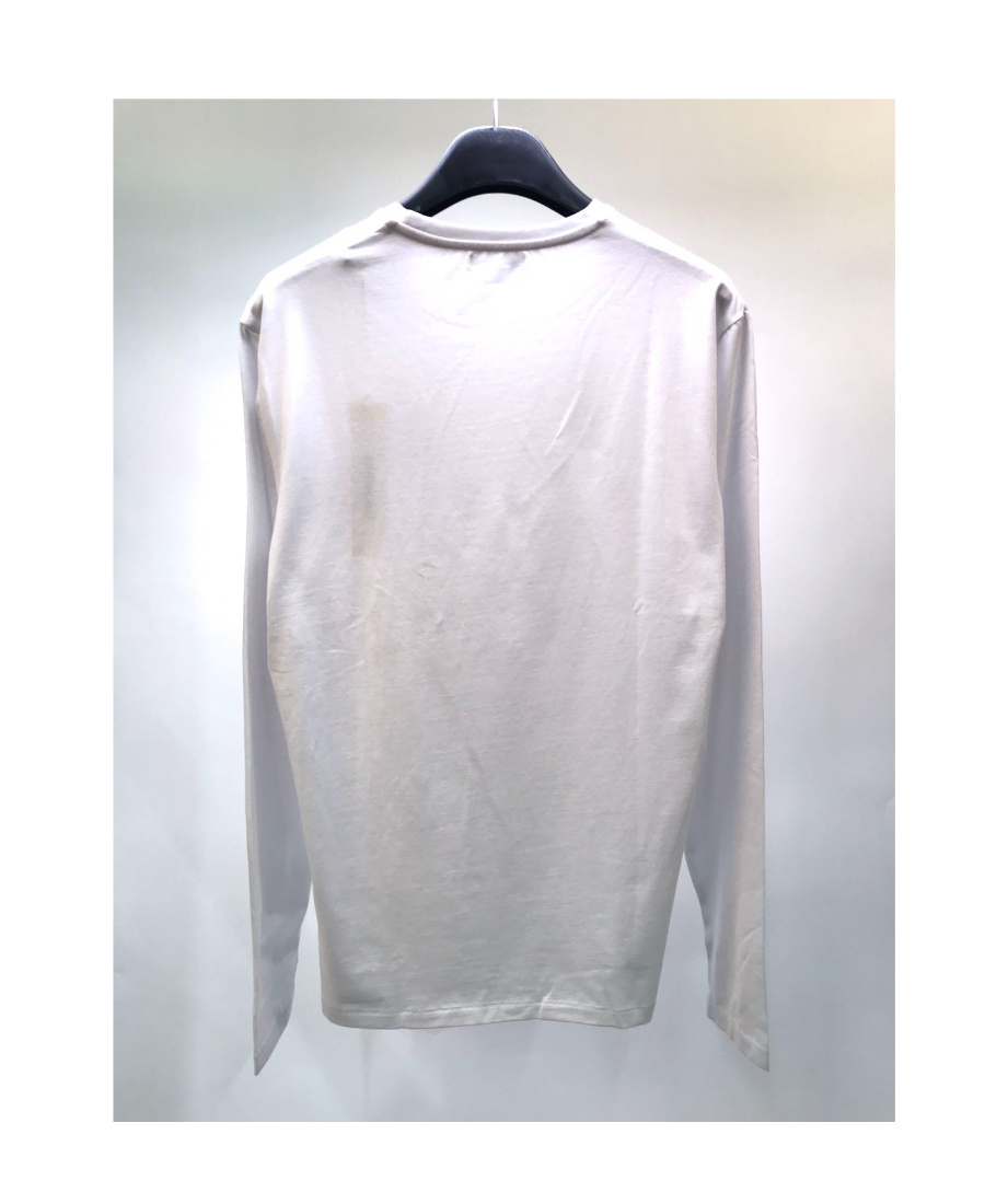 Iceberg T-shirt With Round Neck And Long Sleeves In Gray