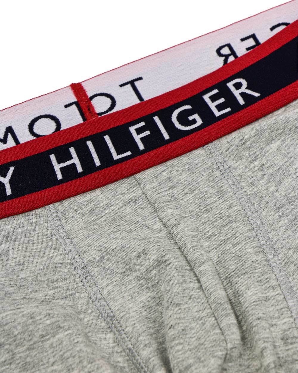 Tommy Hilfiger Collision Color Logo Panties In Gray