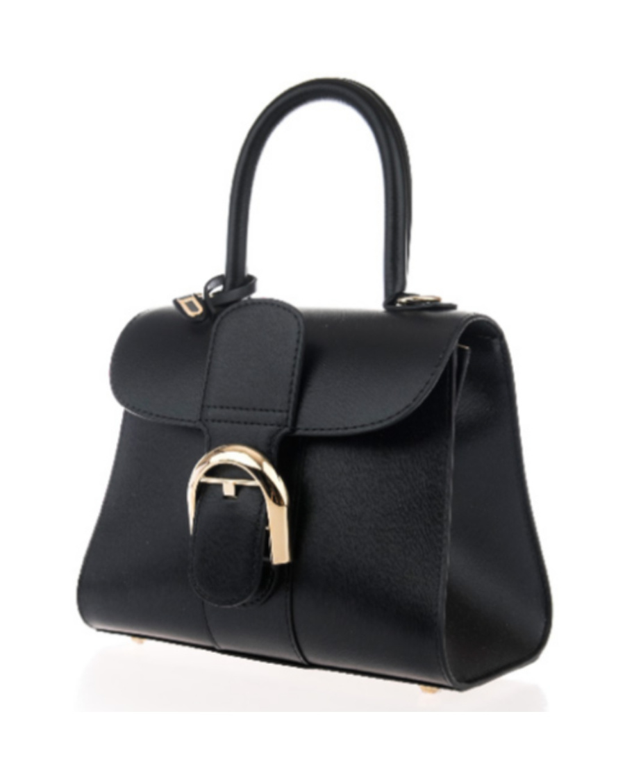 Delvaux Mini Brillant Shoulder Bag In Black