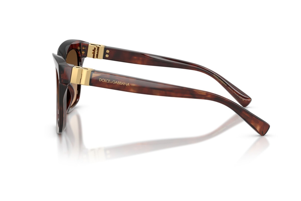 Dolce & Gabbana Oversized Tortoiseshell Sunglasses