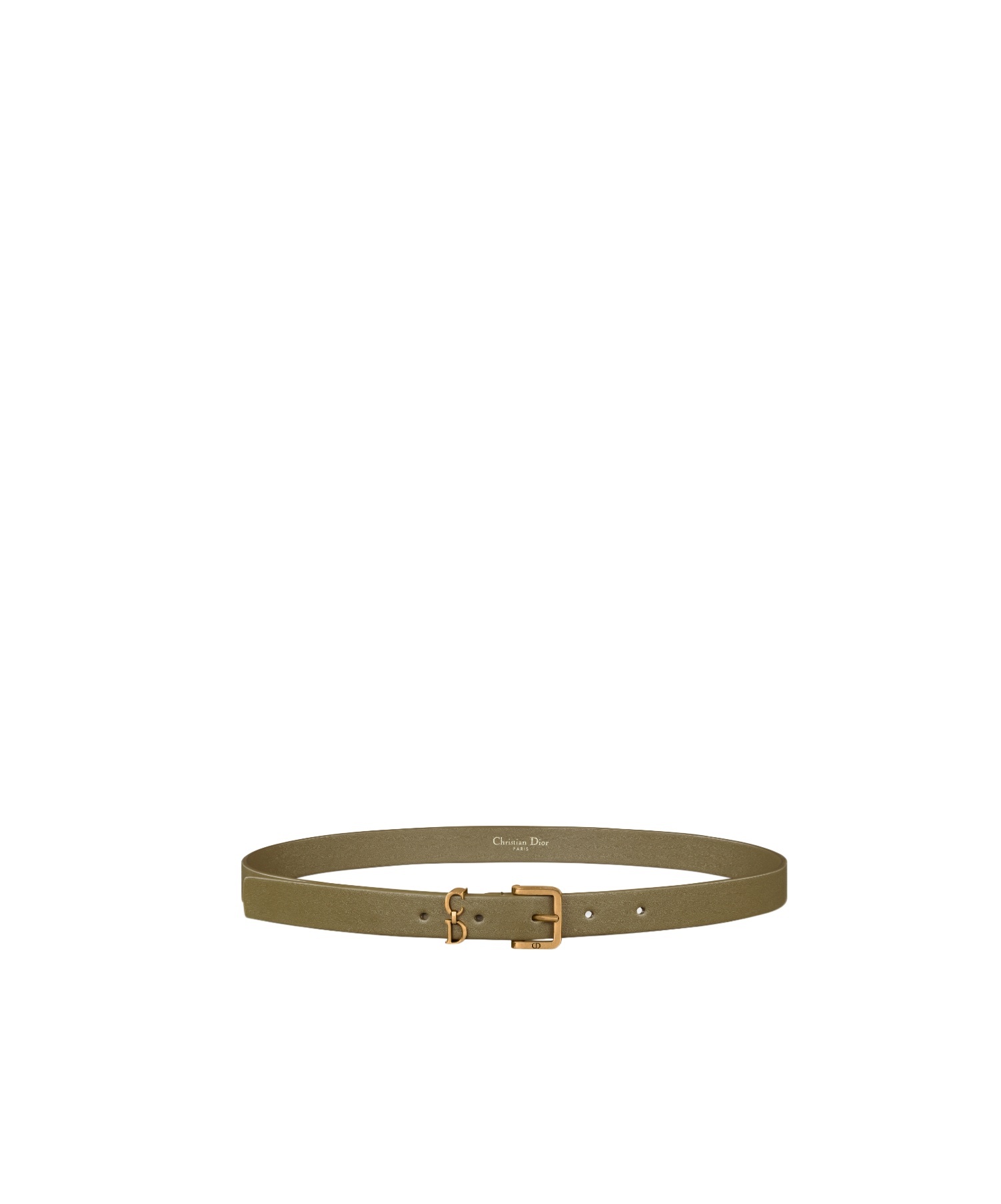 Dior Ceinture Saddle Loop In Brown