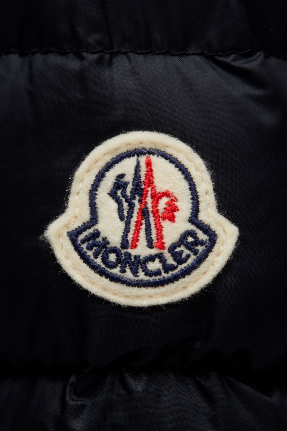 Moncler Odile Down Jacket In Blue