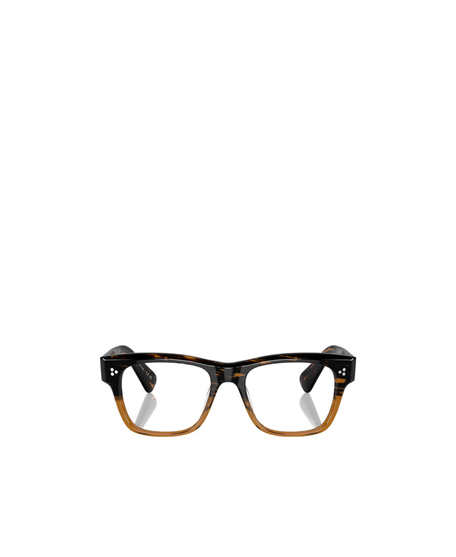 Oliver Peoples Translucent Zebra-pattern Wayfarer Glasses In Brown