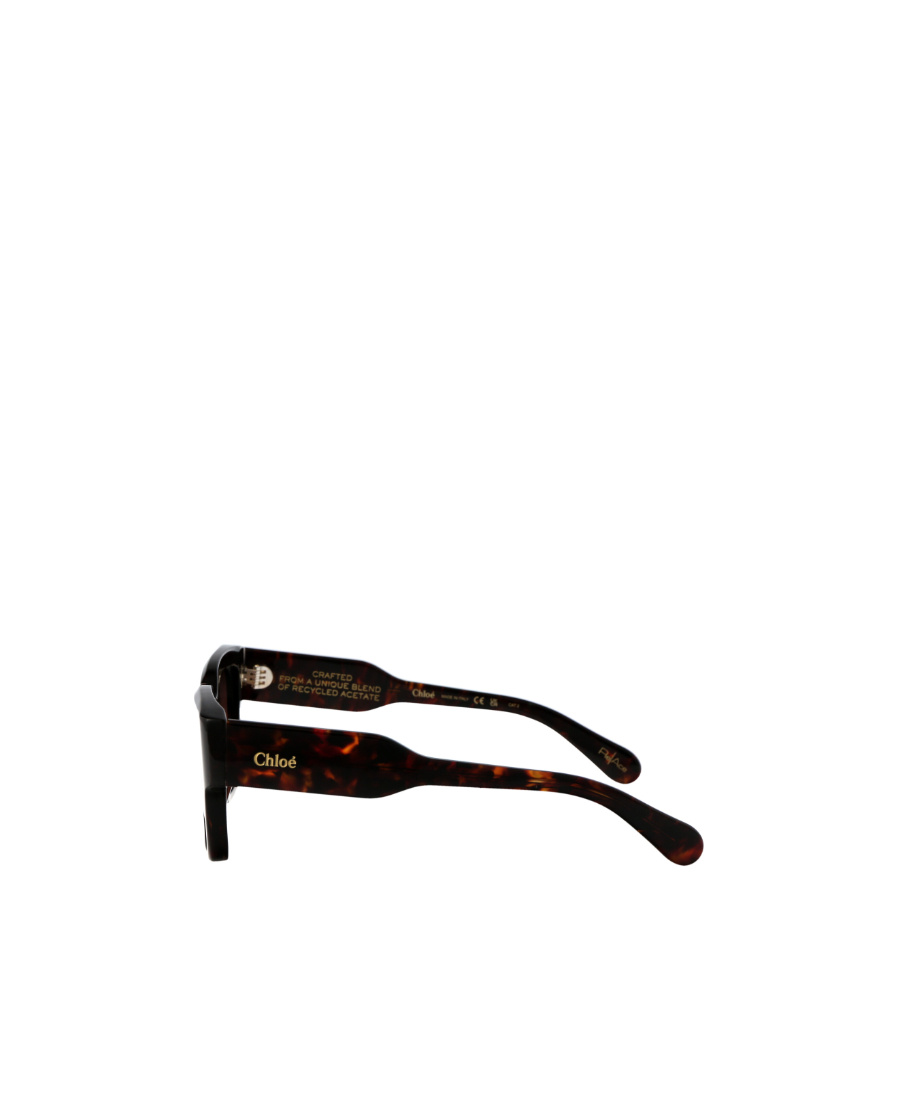 Chloé Havana-havana-copper Acetate Sunglasses In Black