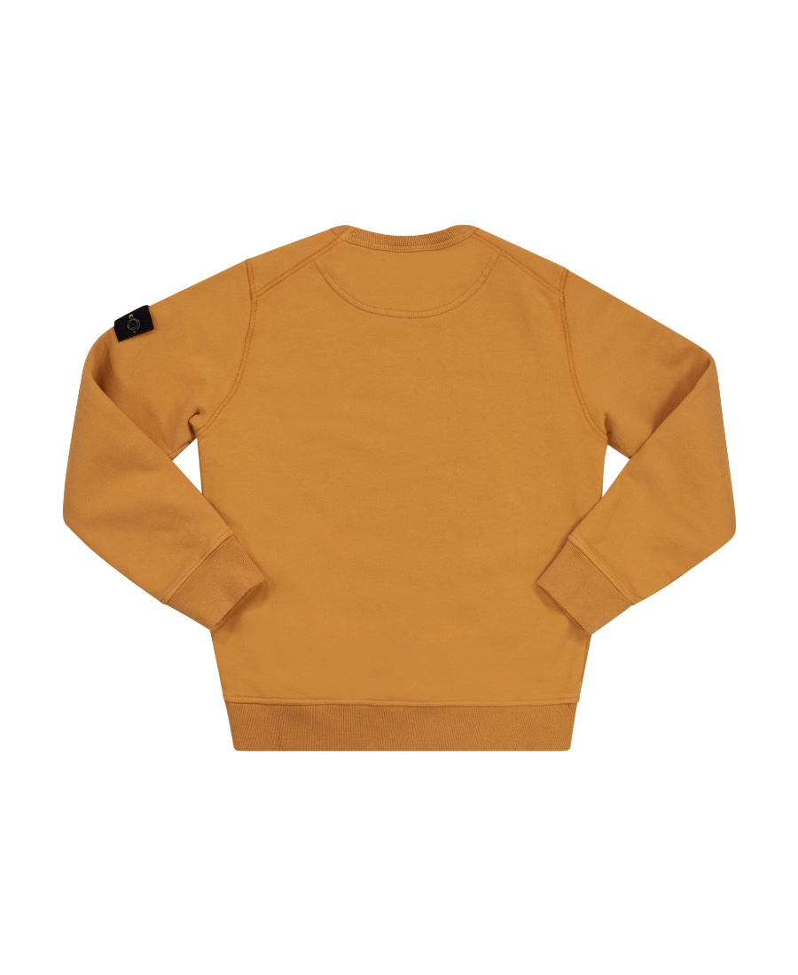 Stone Island Compass-patch Cotton Sweatshirt In Orange