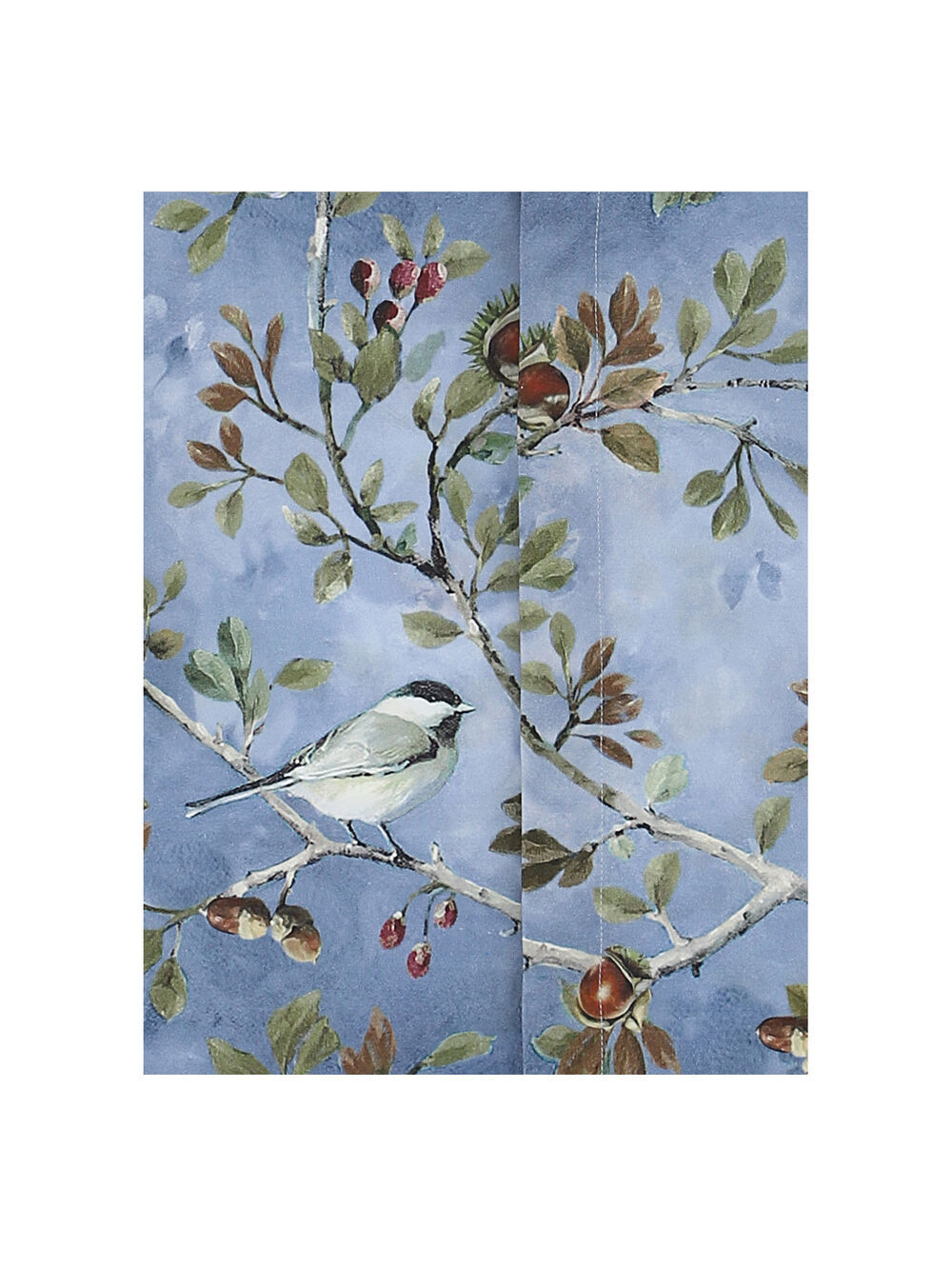 Monnalisa Bird-print Cotton Shirt In Blue