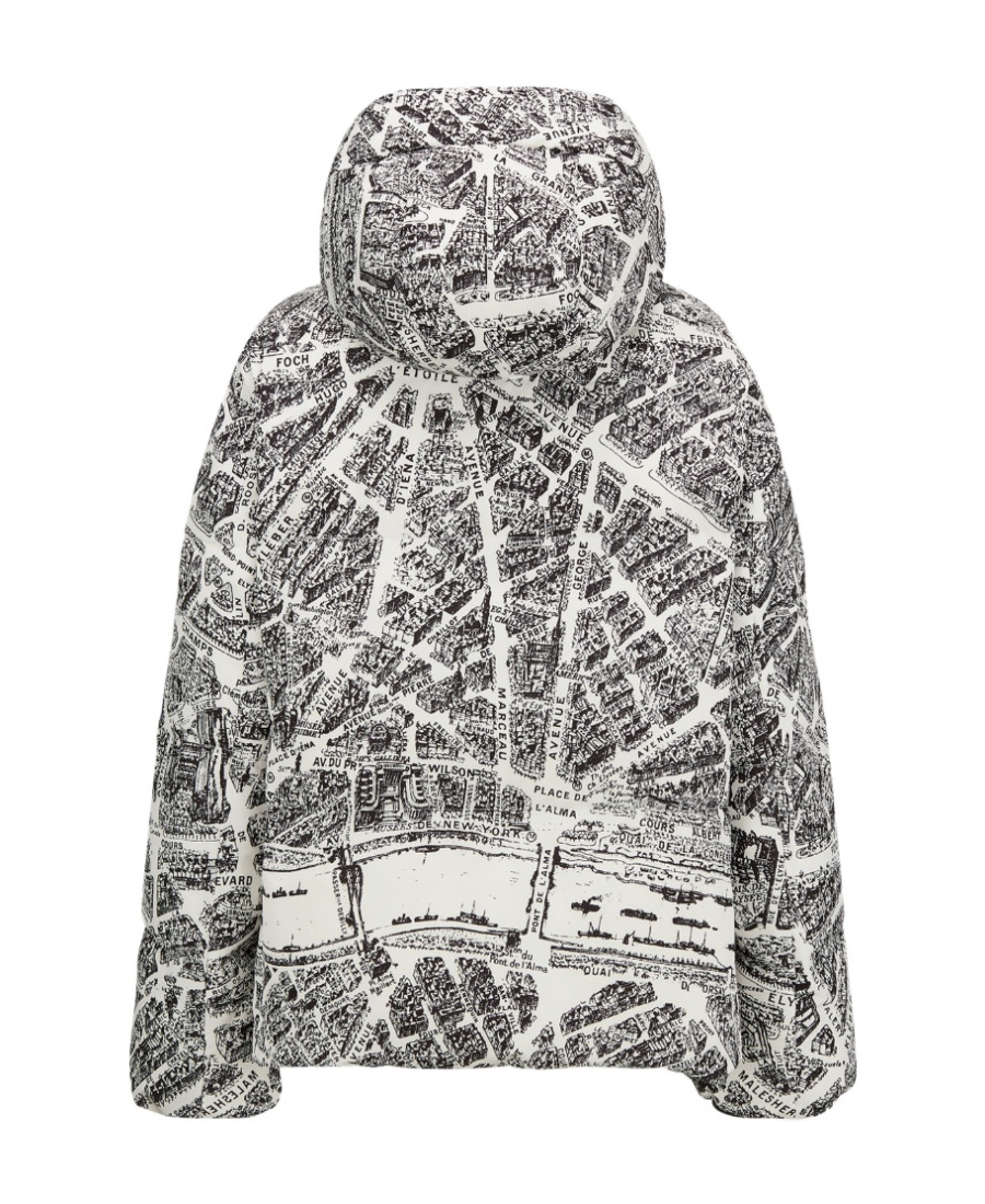 Dior Alps Hooded Down Jacket In Gray