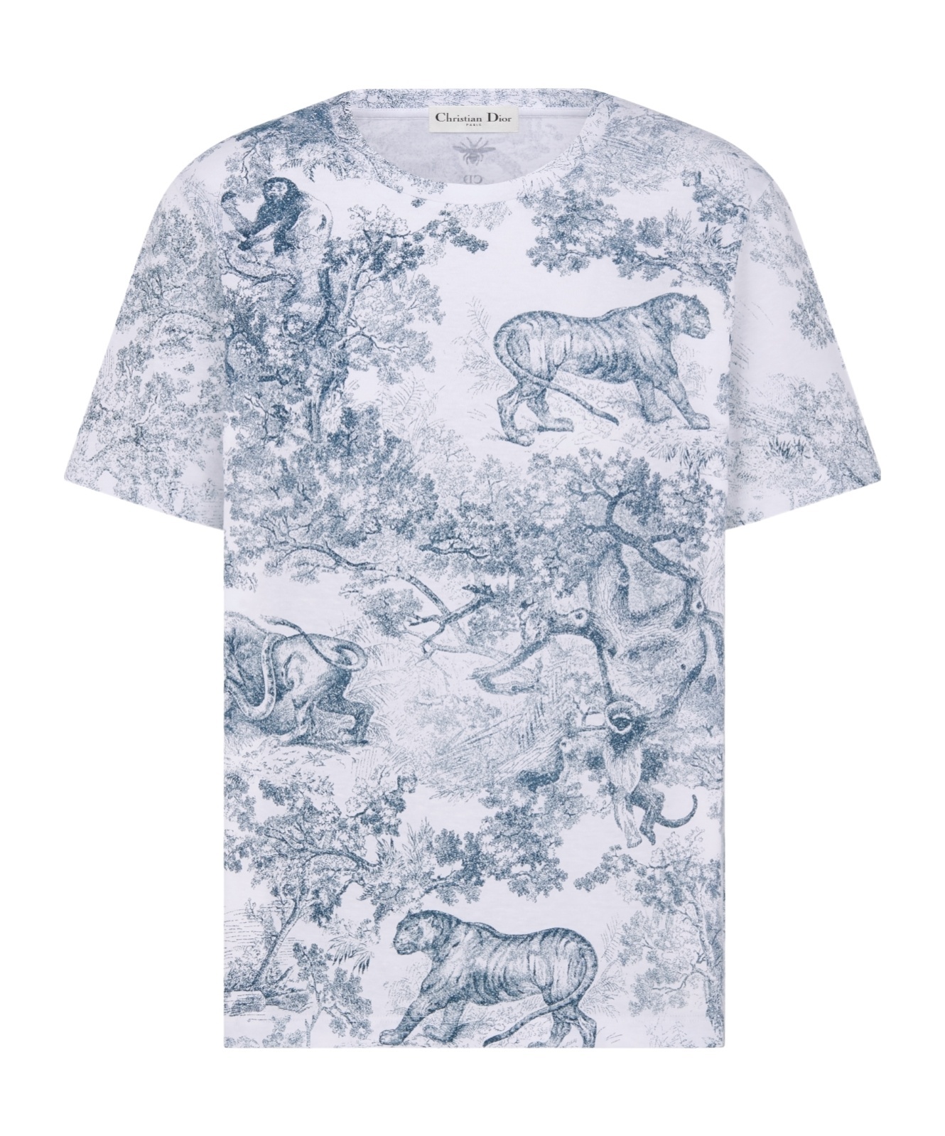 Dior Iviera T-shirt In Blue