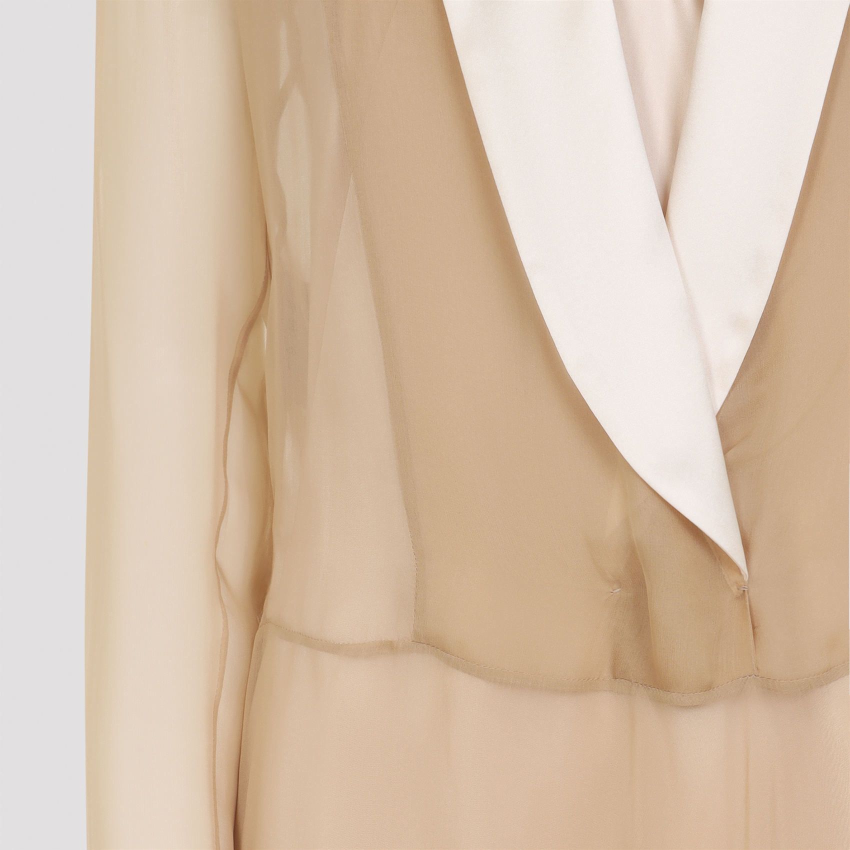 Alberta Ferretti Sheer Long Dress With V-neckline And Sleeves In Brown