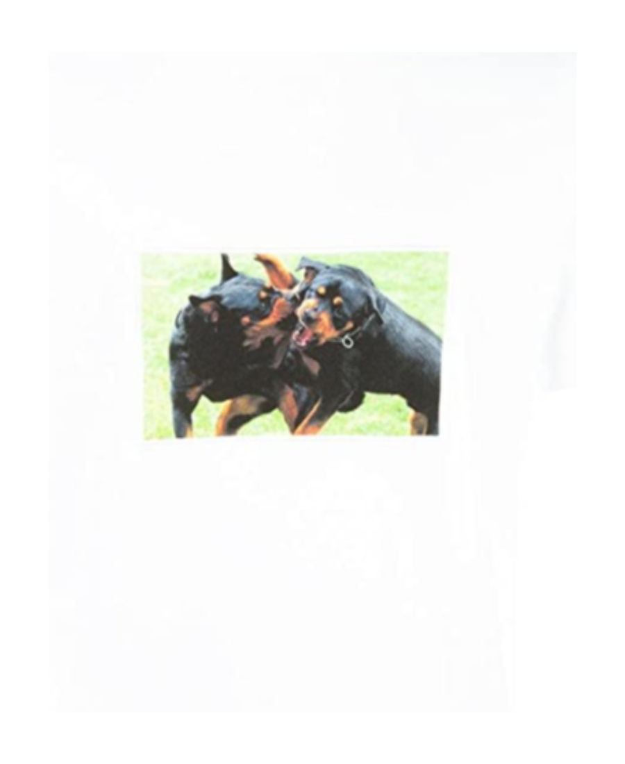 Givenchy Printed T-shirt In White