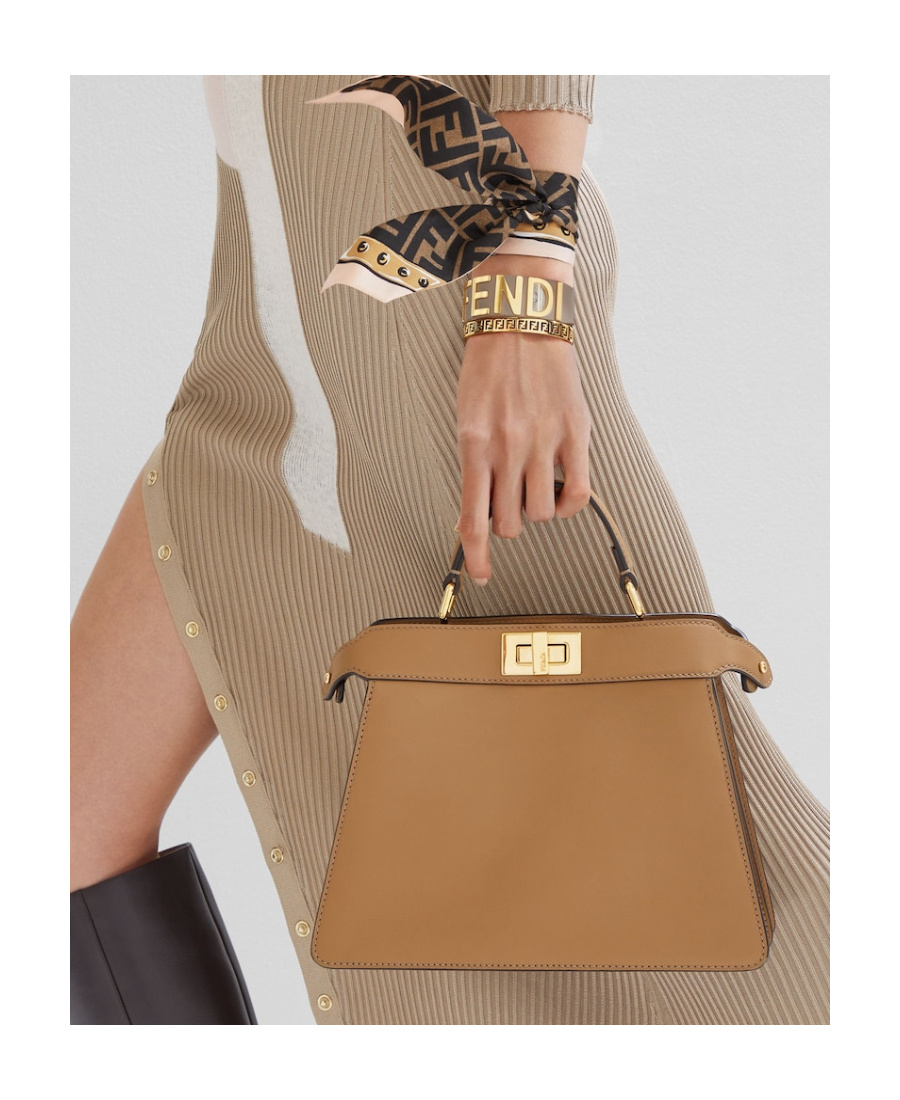 Fendi Peekaboo Iseeu Petite Tote Bag In Brown