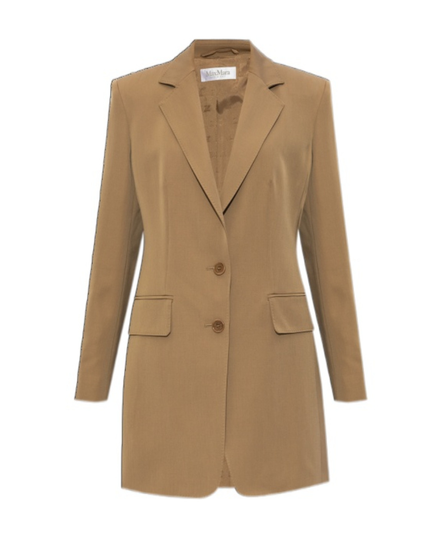 Max Mara Caprile Single Breasted Blazer Brown In Green