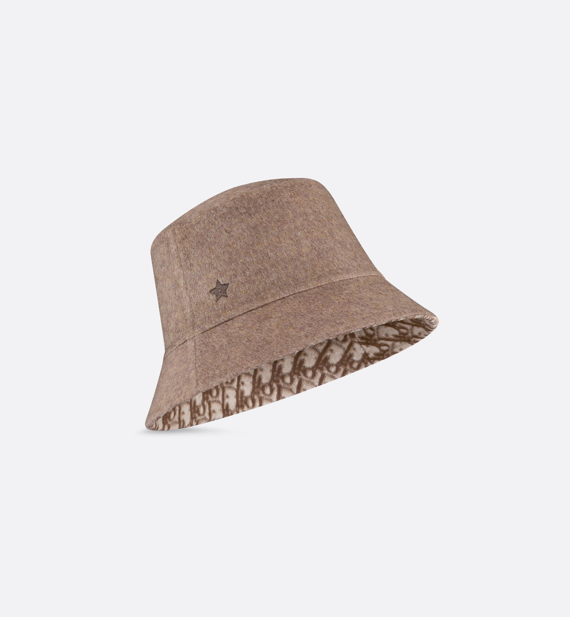Dior Reversible Teddy-d Small-brim Bucket Hat In Brown