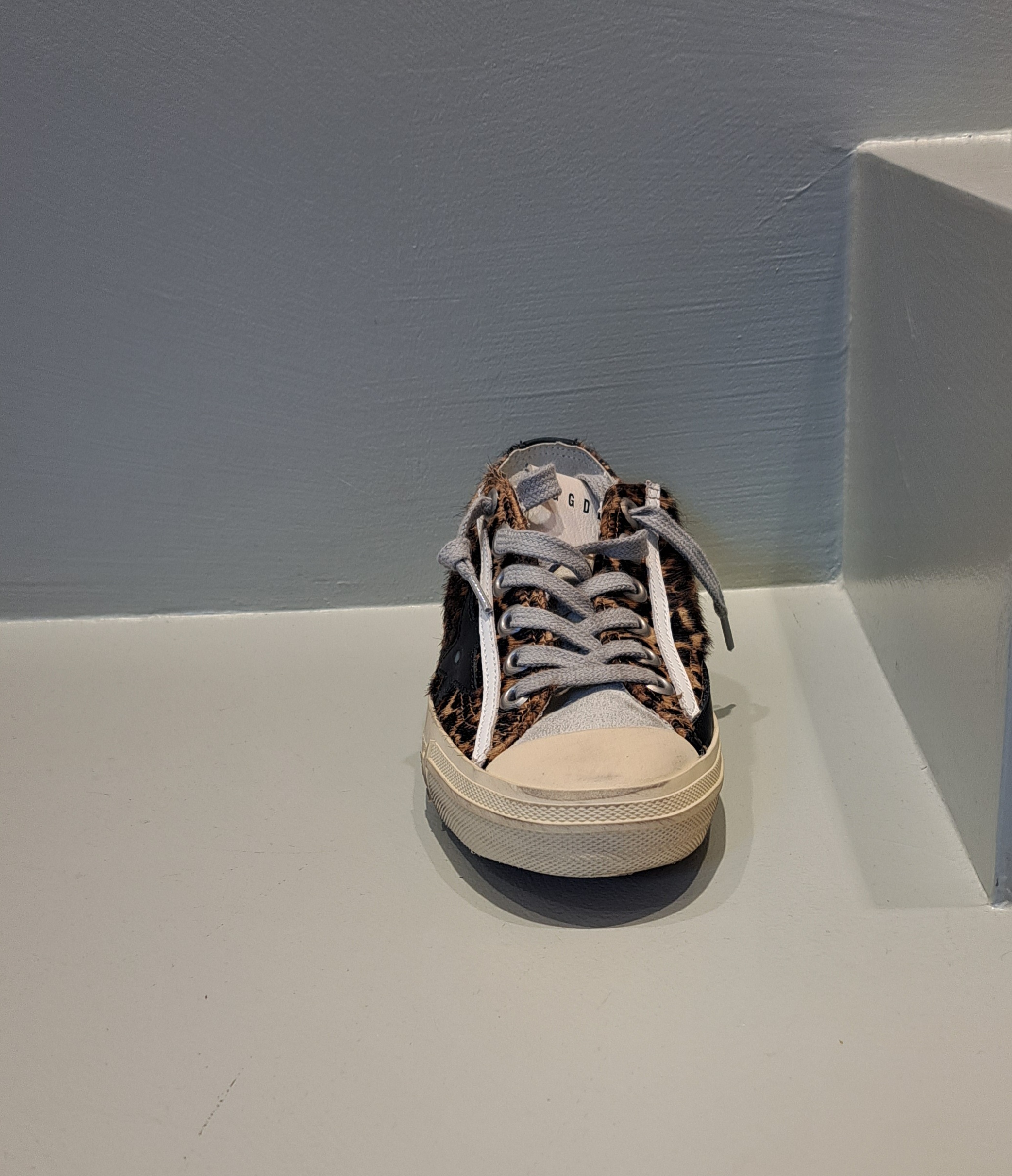 Shop Golden Goose V-star In Leopard Pony Skin With Black Leather Star And Heel Tab
