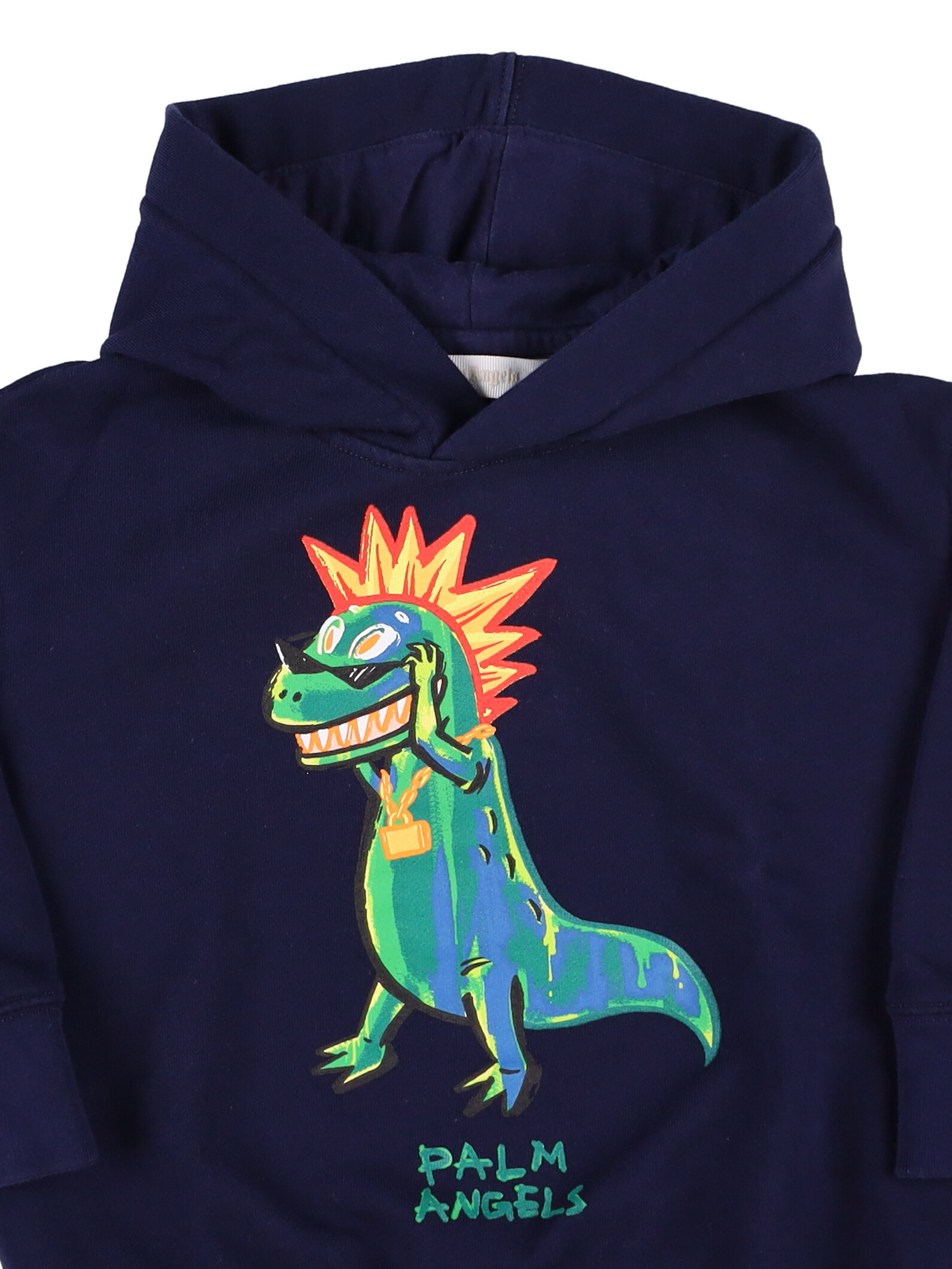 Palm Angels Dino Punk-print Cotton Hoodie In Black